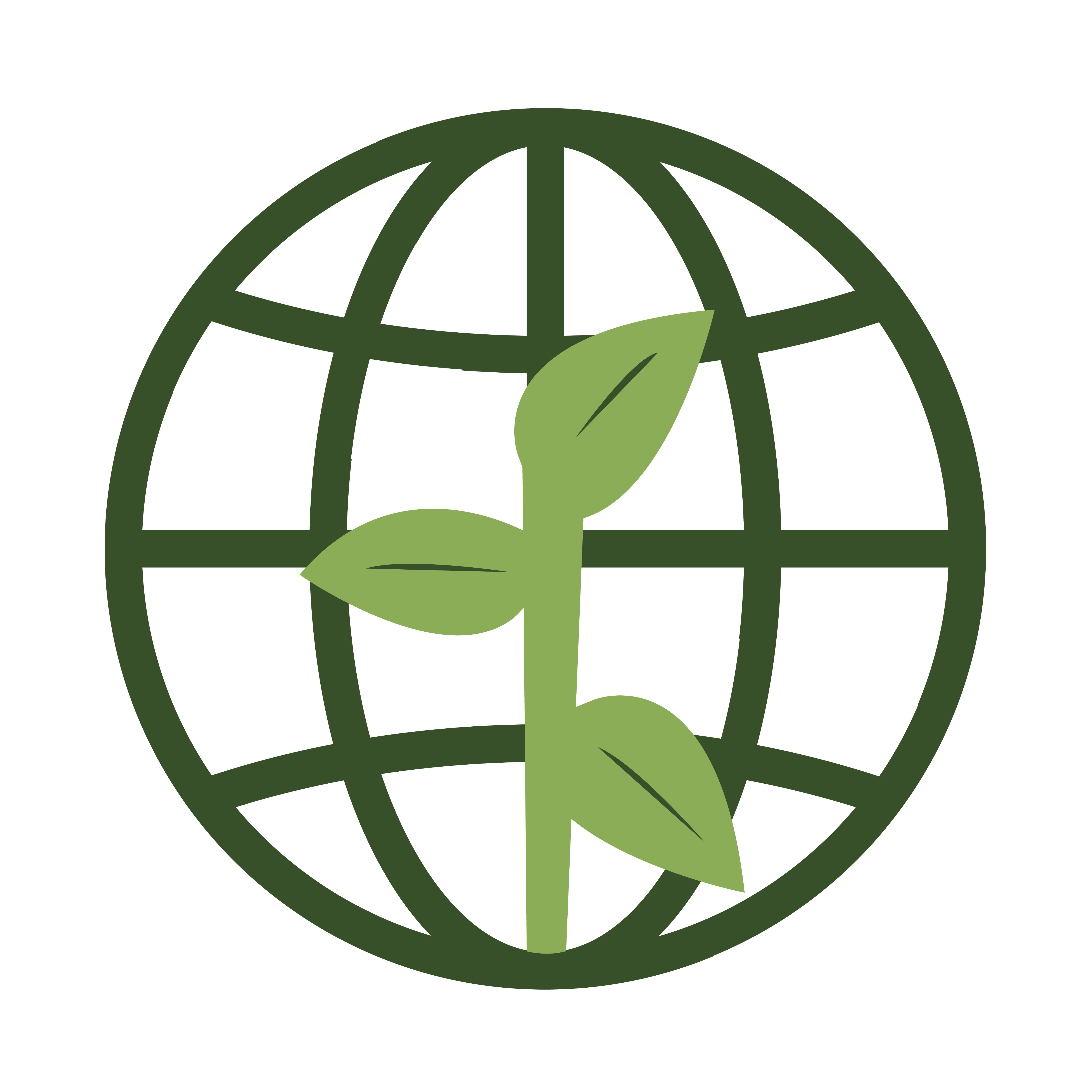 Klimafreundliche Webseite