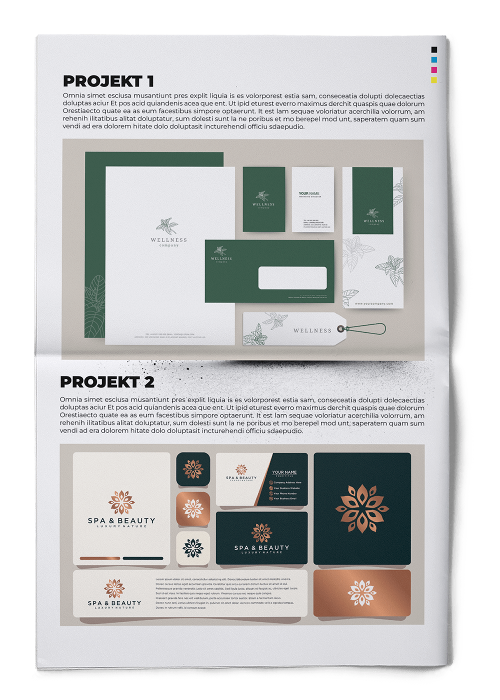 Portfolio template with project reports