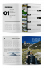 Template for celebratory magazine
