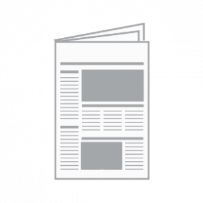 Tabloid (mniejszym rozmiar)