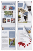 Modèle du gazette des mariés
